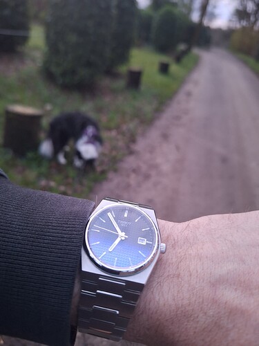 177527846559697589182227950794