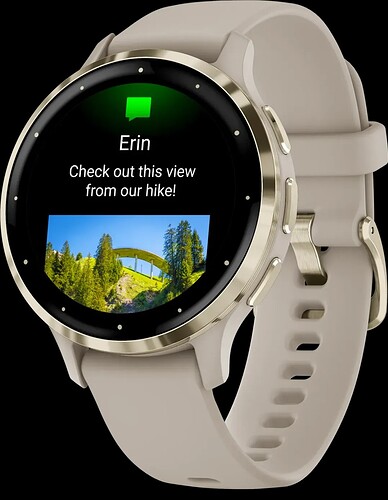 17698726094554455386752339659786