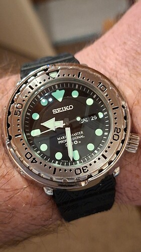 17641026269024300561135319028534