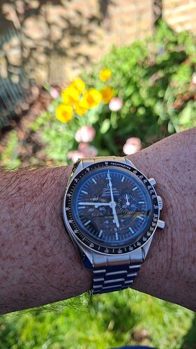 17755767752304079307284516397277