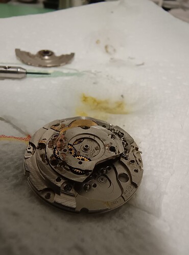 IMG_20251106_174223796