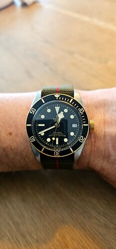 tudor1