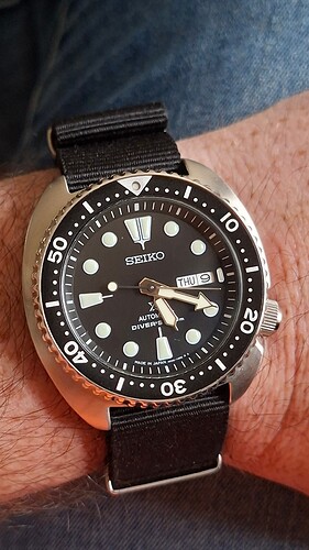 17600231209954286216339853732063