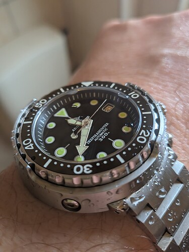 PXL_20260221_104007941.MACRO_FOCUS