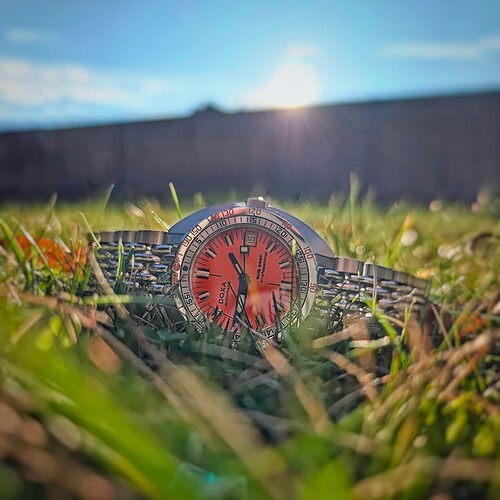 IMG_20251215_135036 (1)