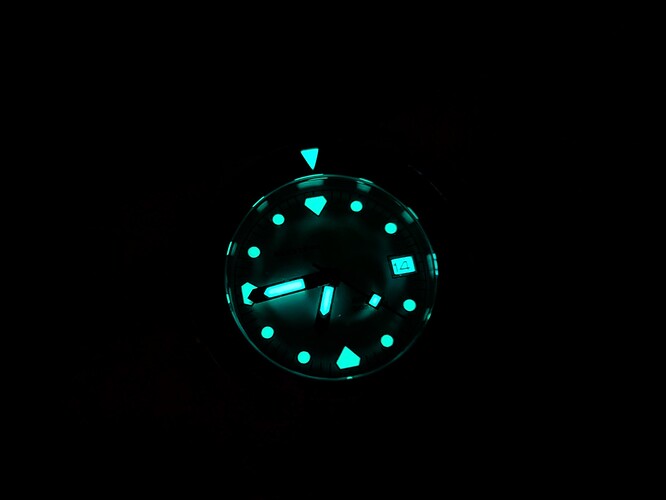 PXL_20251114_054427422.MACRO_FOCUS