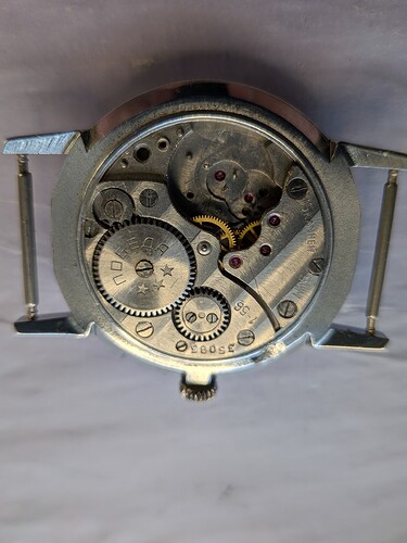 PXL_20251231_093944396.MACRO_FOCUS