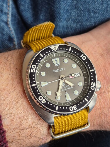 17747948788512114513242805209769