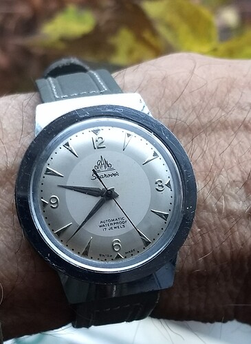 IMG_20251208_093927242~2