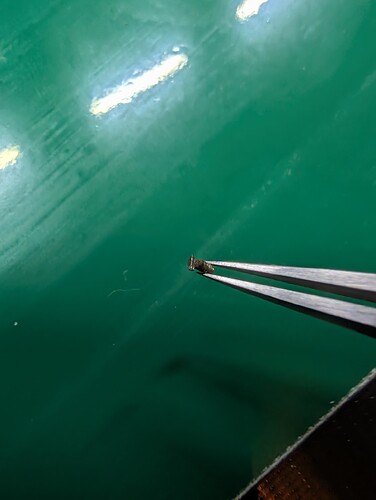 PXL_20251110_202803345