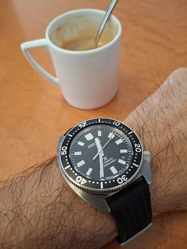 17692545046787337486906017875618