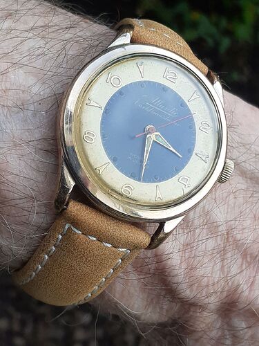 20241017_152741     1