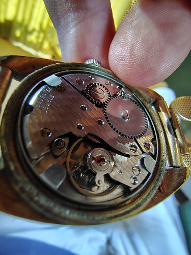 IMG_20260429_163650159_HDR