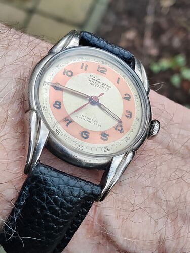 IMG20260223154433    2