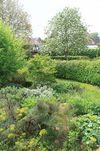 IMG_6647+(1365x2048)