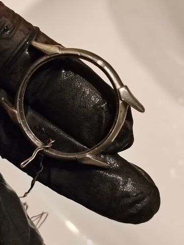 IMG20260203013251  1