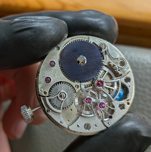 PXL_20251127_183932099.MACRO_FOCUS