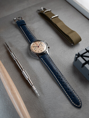 20250504 Seagull 1963-8