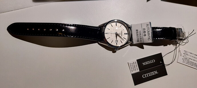 CITIZEN NB1060-04A - HF02