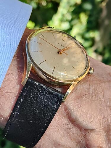 Waltham 4