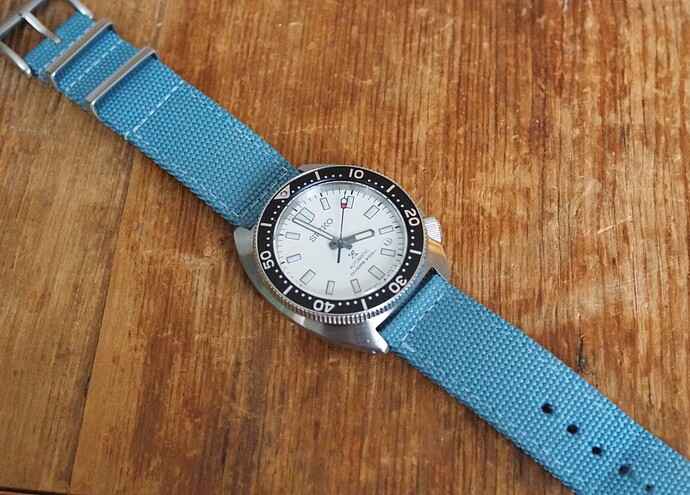 Seiko Slim Turtle SPB313 (12)