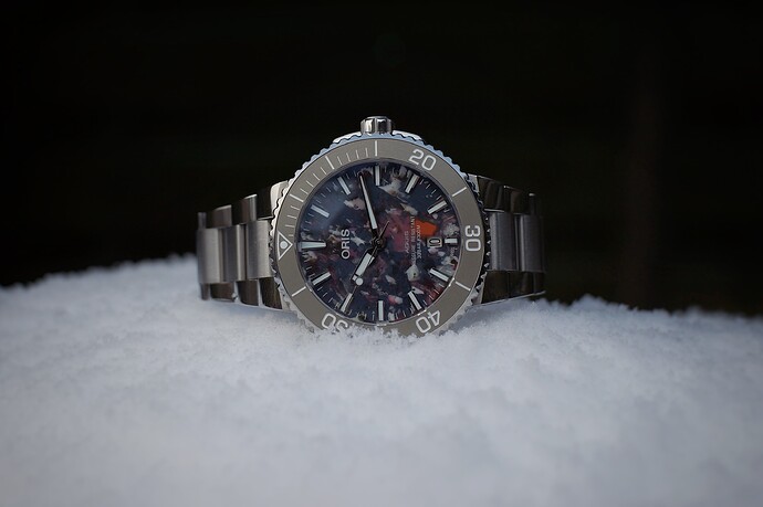 DSC03448_SnapseedCopy