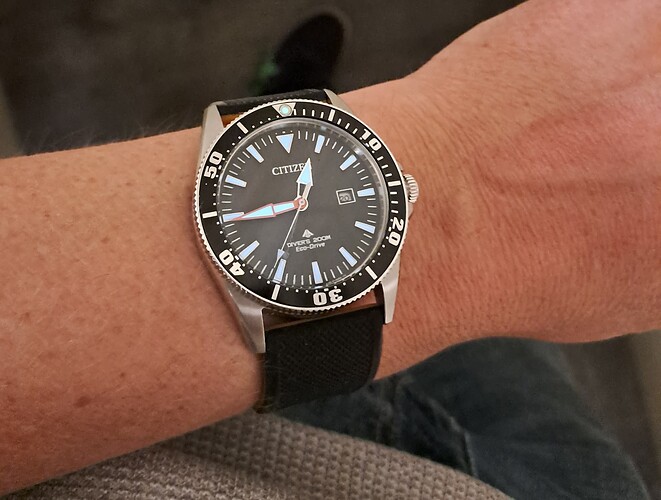 Citizen Excalibur Promaster - Lume