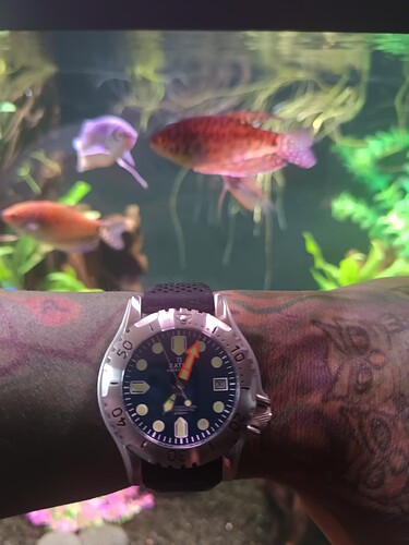 17748902352363455134998120222754