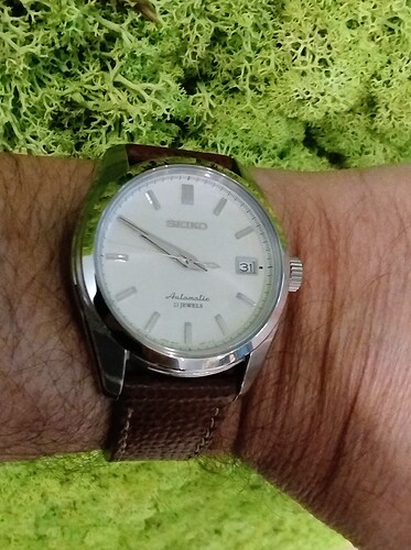 IMG_20260331_095011372~2