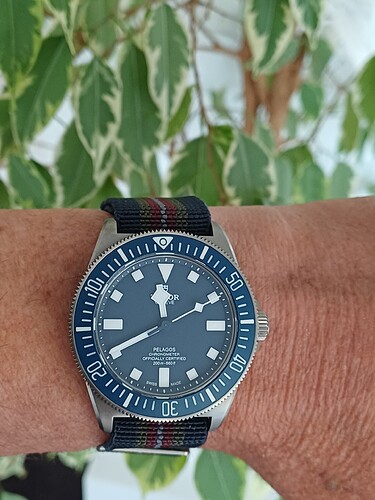 17768507708971673861776079271357