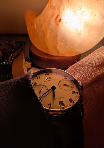 PXL_20260220_173958936~2