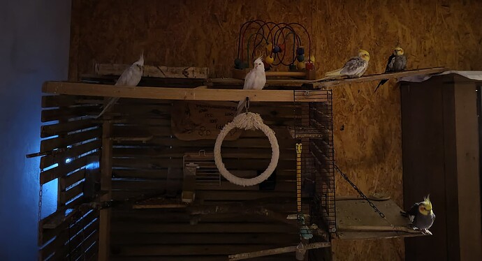 IMG_20251214_084316789