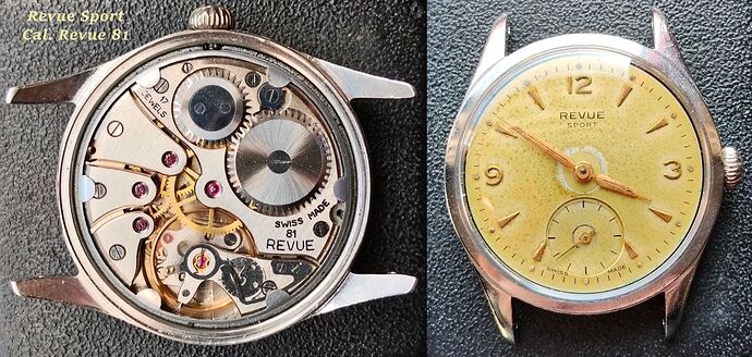 Revue Sport  Cal. Revue 81  (2)