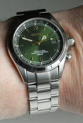Alpinist_DSCN7345