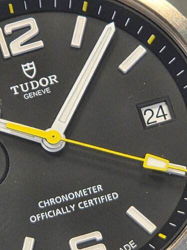 Tudor North Flag (9)