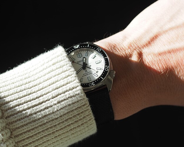 Seiko Slim Turtle SPB313 (2)