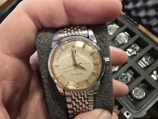 WhatsApp Image 2026-04-19 at 21.05.42