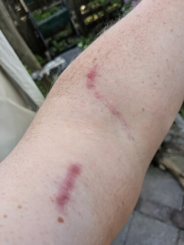 PXL_20260426_164350006~2