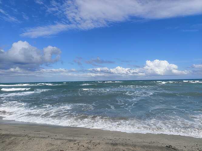 IMG-20261009-WA0034