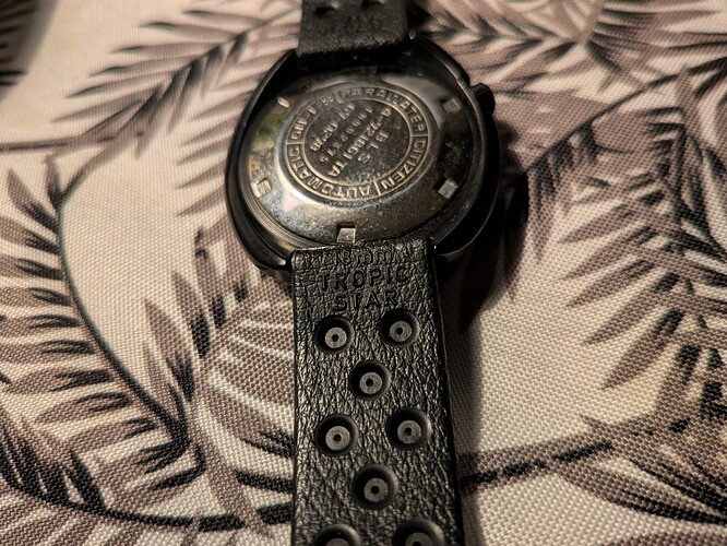 PXL_20251030_204511153.MACRO_FOCUS