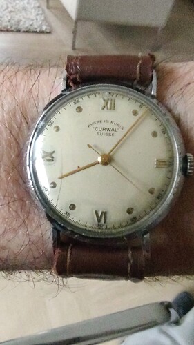 17728671823392497499113756337678