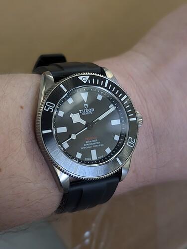 PXL_20251121_091041040.PORTRAIT