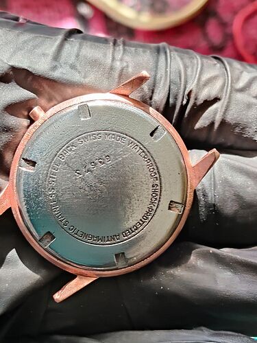 IMG20260302135019  3