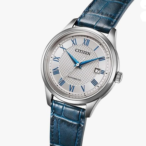 citizen NJ0250