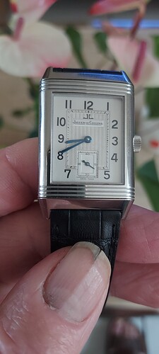 17494511691802557894872749757219