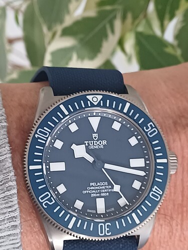 17735661814484691131283615913971