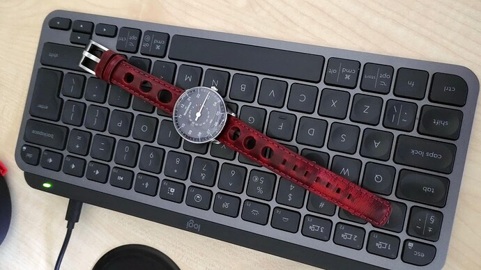 MEISTERSINGER NEO NED917 p045