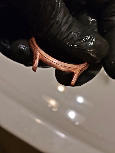 IMG20260304202903  4