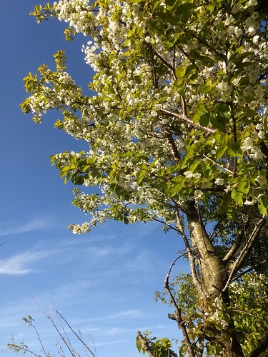 IMG_20260426_182729898