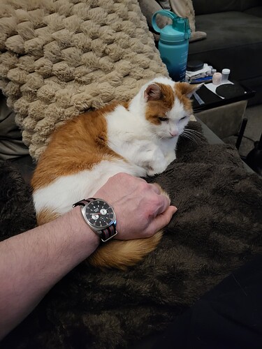 17744717814055293511671917713651